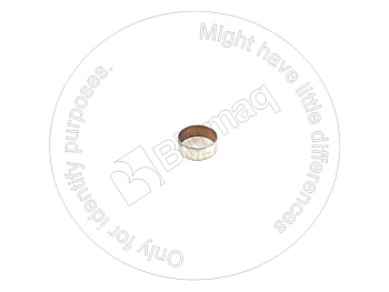 6210316120 OR BEARING