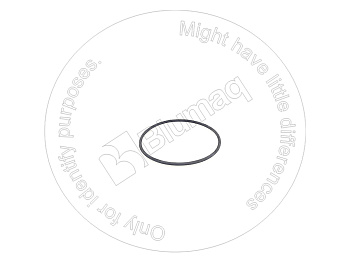 6H6998 ST КОЛЬЦО КРУГЛОГО СЕЧЕНИЯ