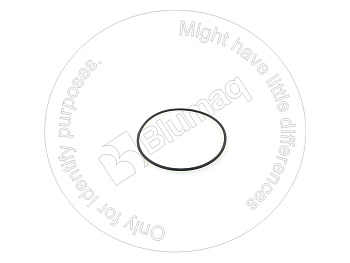 0634306303 ST КОЛЬЦО КРУГЛОГО СЕЧЕНИЯ