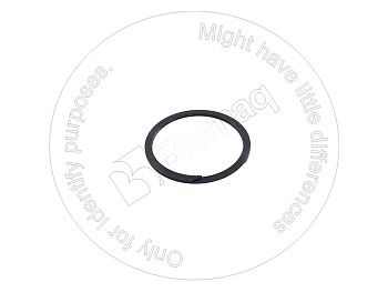 1J0487 DE КОЛЬЦО