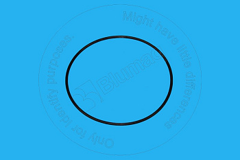 5P2931 ST КОЛЬЦО КРУГЛОГО СЕЧЕНИЯ