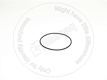 1559150 ST КОЛЬЦО КРУГЛОГО СЕЧЕНИЯ