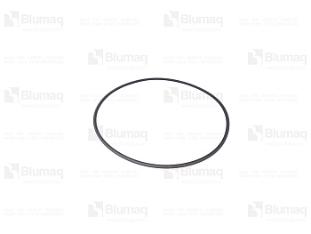 F03/31792 BQ КОЛЬЦО КРУГЛОГО СЕЧЕНИЯ