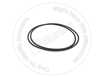 5M6200 ST КОЛЬЦО КРУГЛОГО СЕЧЕНИЯ