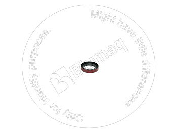 4H9836 ST САЛЬНИК