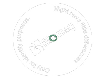 1073116 ST КОЛЬЦО КРУГЛОГО СЕЧЕНИЯ