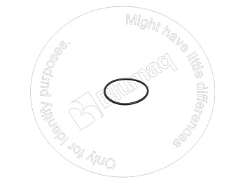 7R8862 ST КОЛЬЦО КРУГЛОГО СЕЧЕНИЯ