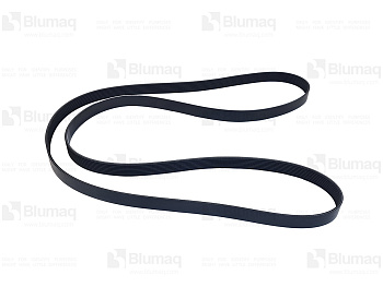 2023197 BQ РЕМЕНЬ