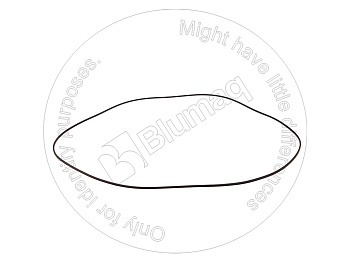 SV04698032 OE САЛЬНИК