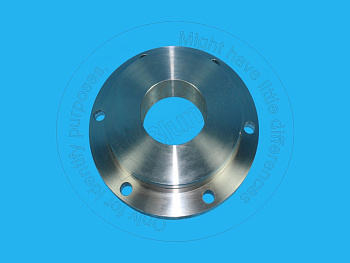 VOE4863490 BQ КОЖУХ
