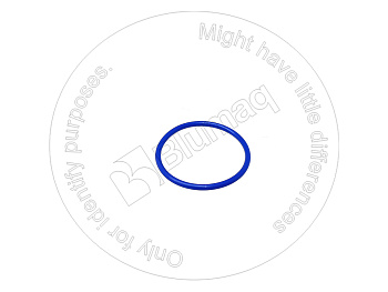 3409310 BQ КОЛЬЦО КРУГЛОГО СЕЧЕНИЯ