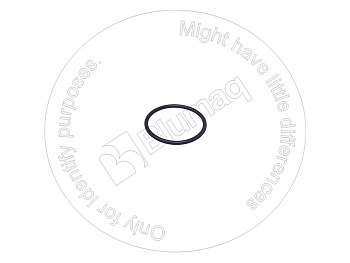 0700215234 BQ КОЛЬЦО КРУГЛОГО СЕЧЕНИЯ