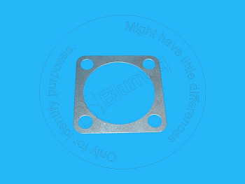 1307013 BQ ПЛАСТИНА