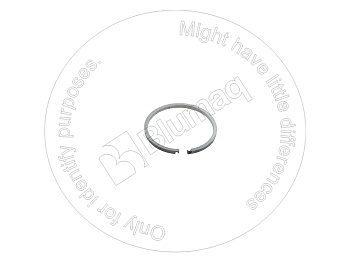 3819413251 OR КОЛЬЦО КРУГЛОГО СЕЧЕНИЯ