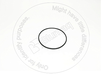 1170266 ST КОЛЬЦО КРУГЛОГО СЕЧЕНИЯ