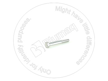 2020308 ST БОЛТ