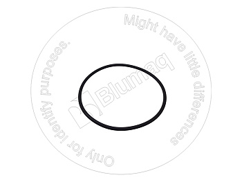 0964921 BQ КОЛЬЦО КРУГЛОГО СЕЧЕНИЯ