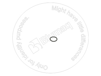 0776320 ST КОЛЬЦО КРУГЛОГО СЕЧЕНИЯ