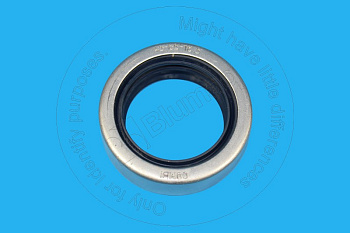 2097465 ST САЛЬНИК