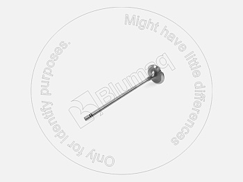 4431205 BQ КЛАПАН