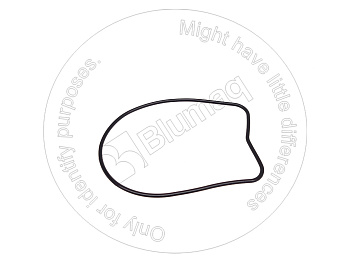 1100004 ST САЛЬНИК