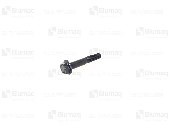 VOE13975102 ST FLANGED BOLT