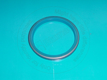 8U0985 OR САЛЬНИК