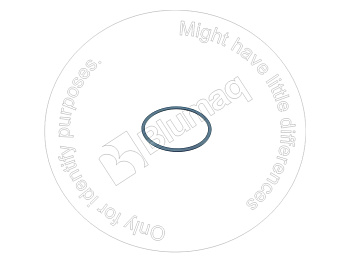 3801336011 OR КОЛЬЦО КРУГЛОГО СЕЧЕНИЯ
