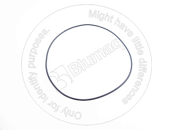HUNE21530 ST САЛЬНИК