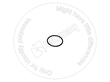 951553 ST КОЛЬЦО КРУГЛОГО СЕЧЕНИЯ