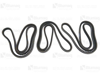 4N6302 BQ КОМПЛЕКТ РЕМНЕЙ (3)