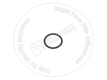 P2415B148 ST КОЛЬЦО КРУГЛОГО СЕЧЕНИЯ