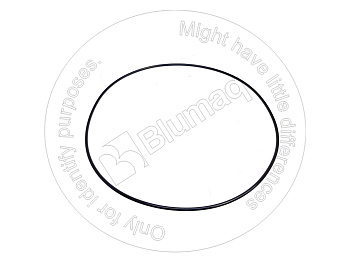 1264002 ST КОЛЬЦО КРУГЛОГО СЕЧЕНИЯ