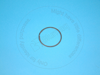 VOE471219 OE САЛЬНИК