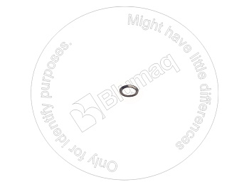 5336854 ST САЛЬНИК