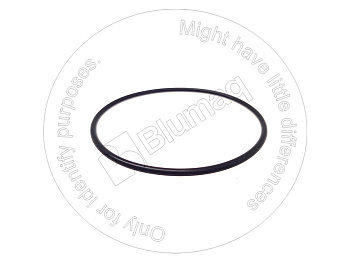 773475 ST КОЛЬЦО КРУГЛОГО СЕЧЕНИЯ