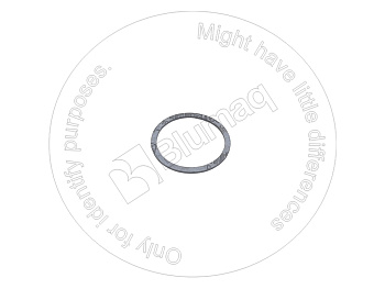 20N6011181 BQ ПРОКЛАДКА