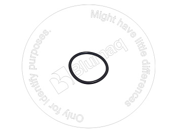 0951541 ST КОЛЬЦО КРУГЛОГО СЕЧЕНИЯ