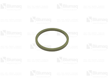 3G9726 ST САЛЬНИК