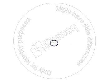0982992 ST КОЛЬЦО КРУГЛОГО СЕЧЕНИЯ