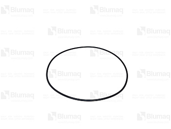 0951739 ST КОЛЬЦО КРУГЛОГО СЕЧЕНИЯ