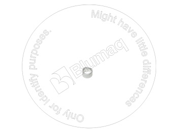 9N3079 BQ ШАЙБА