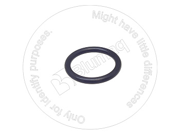 EA17295480 OR КОЛЬЦО КРУГЛОГО СЕЧЕНИЯ