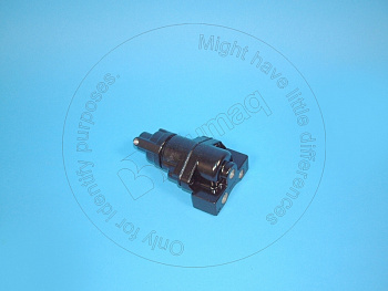 2462901 OE КЛАПАН