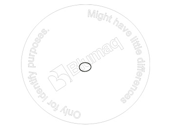 0830680 ST КОЛЬЦО КРУГЛОГО СЕЧЕНИЯ