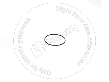 0021594 BQ КОЛЬЦО КРУГЛОГО СЕЧЕНИЯ