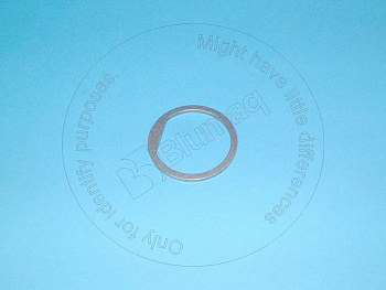 4656143 OE ШАЙБА