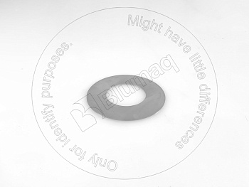 9R4331 BQ ШАЙБА