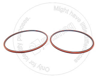 4229075 ST SEAL GP-DU
