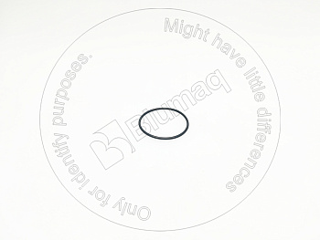 7073450010 ST КОЛЬЦО КРУГЛОГО СЕЧЕНИЯ